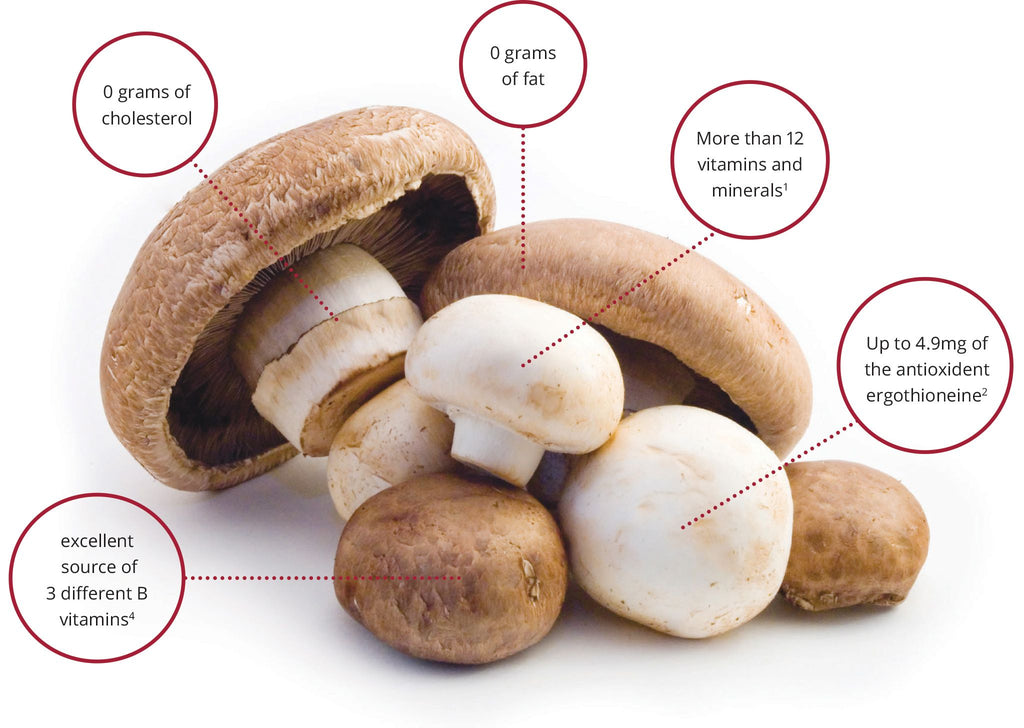 Where Are the Most Nutrients Stored in a Mushroom?