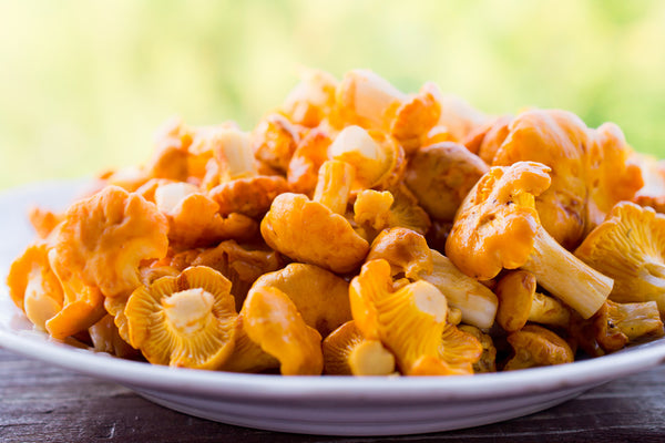 How to Cook Chanterelle Mushrooms