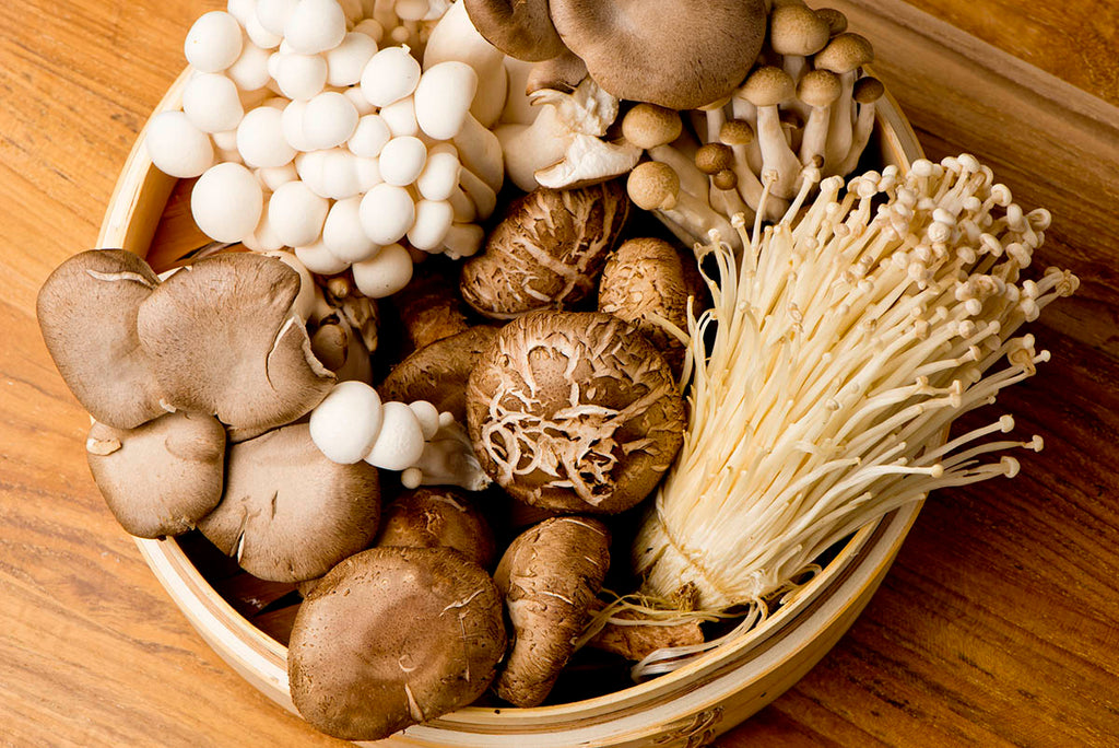 Recipes That Showcase Mushrooms as the Star