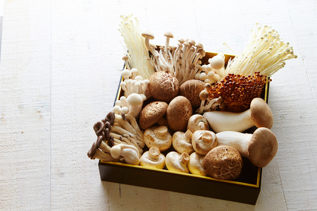 How To Grow Mushrooms At Home