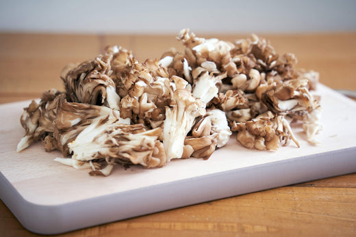 How To Grow Maitake Mushrooms