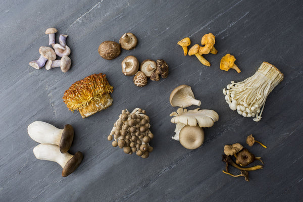 What are the Most Popular Types of Mushrooms and Their Uses