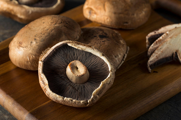 Everything You Need to Know About Growing Portobello Mushrooms