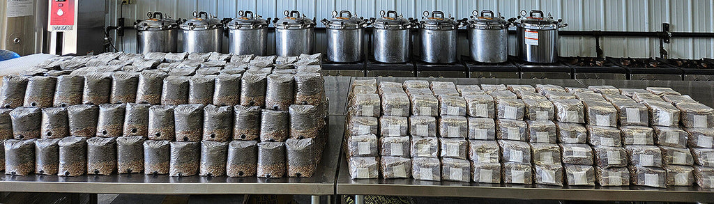 bulk substrate sitting on a table in front of pressure cookers