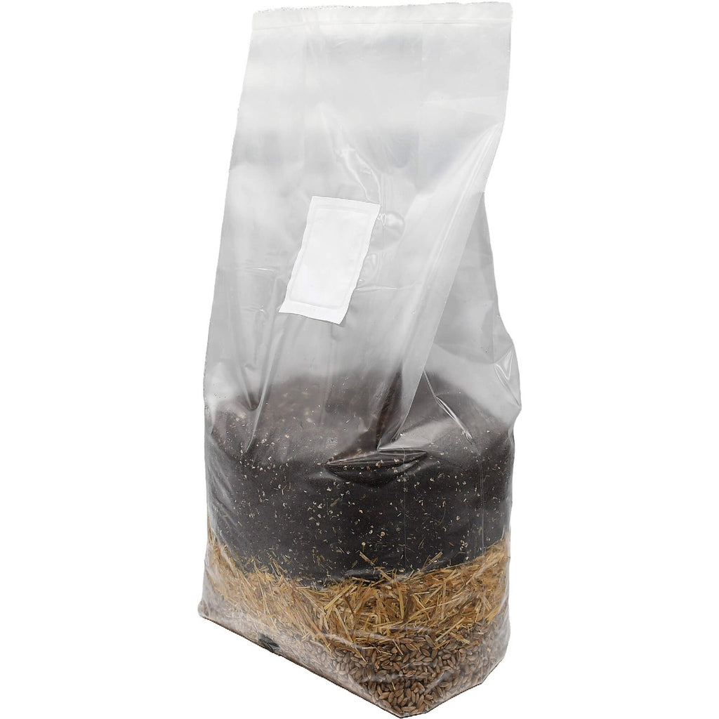 All-In-One Mushroom Grow Bag 5lbs standing left