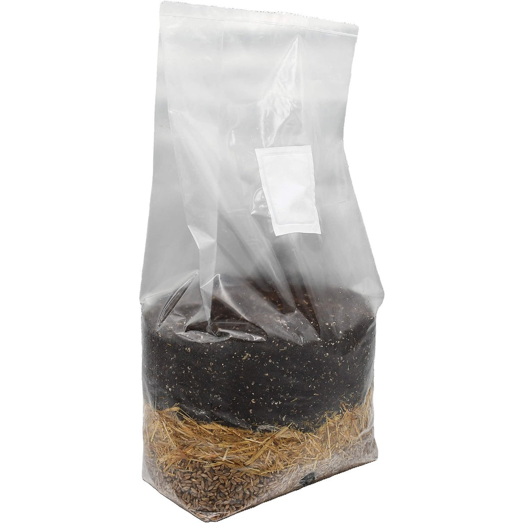 All-In-One Mushroom Grow Bag 5lbs standing right