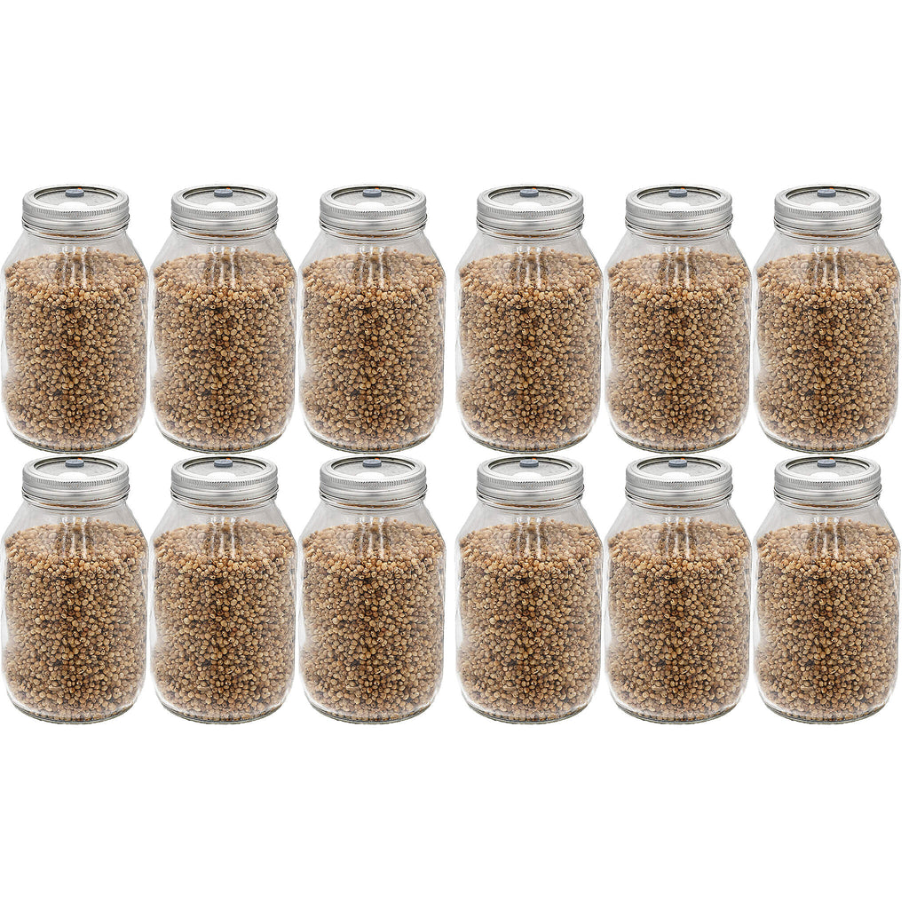 Twelve quart-sized jars filled with fully hydrated and sterilized white milo grains, arranged in a grid. The jars feature self-healing injection ports on the lids, making them ideal for easy inoculation and efficient mushroom cultivation.