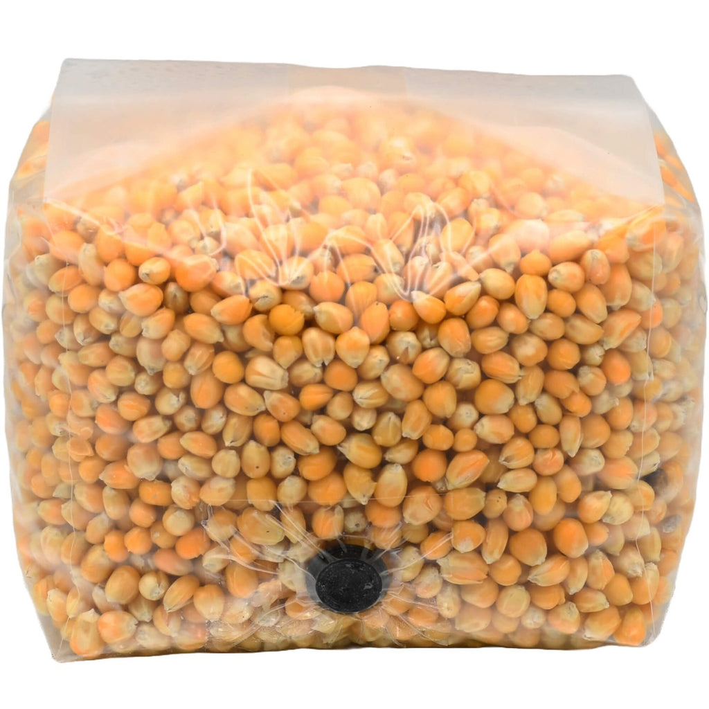 popcorn mushroom substrate grow bag folded front