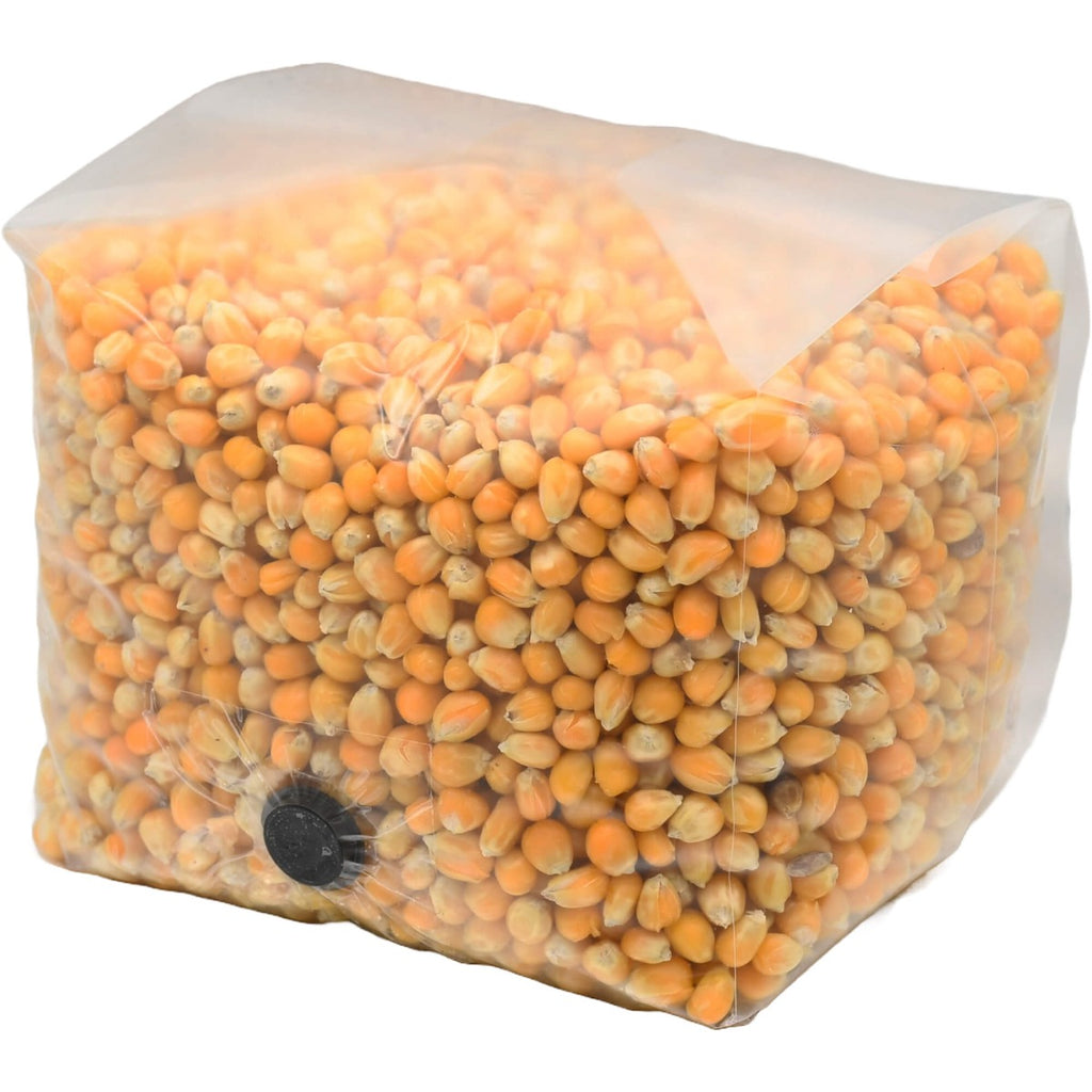 popcorn mushroom substrate grow bag folded left