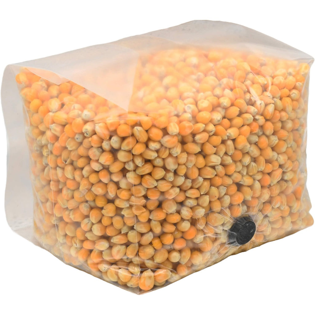 popcorn mushroom substrate grow bag folded right