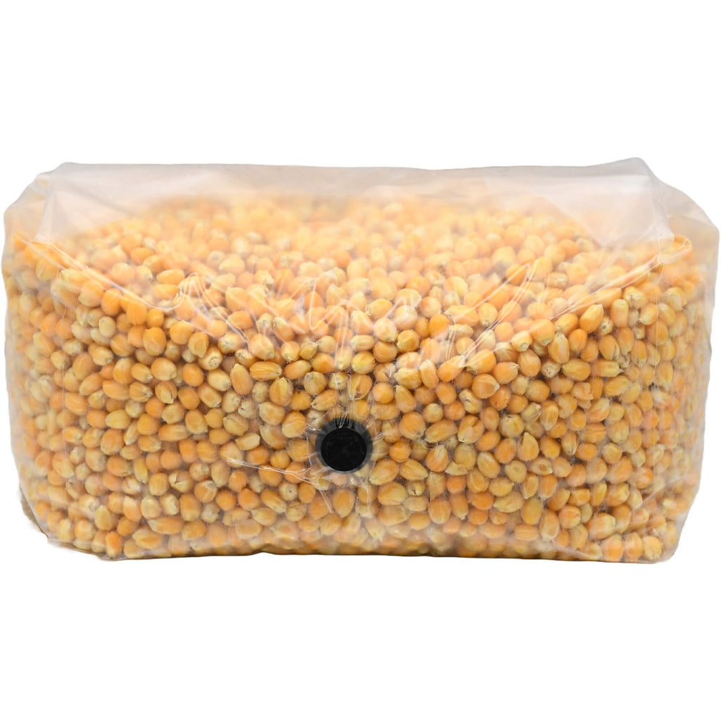 Sterilized popcorn grow bag 5lbs folded front