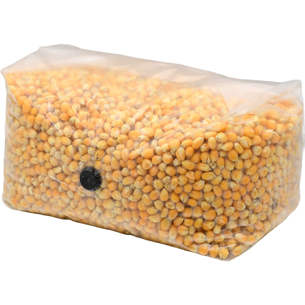 Sterilized popcorn grow bag 5lbs folded front