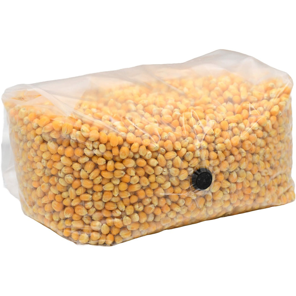 Sterilized popcorn grow bag 5lbs folded right