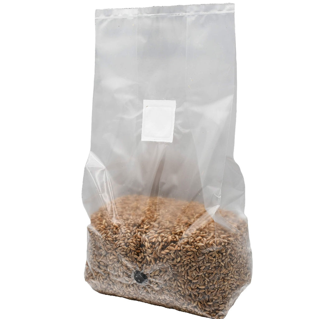 sterilized rye berry grow bag 5lbs standing left