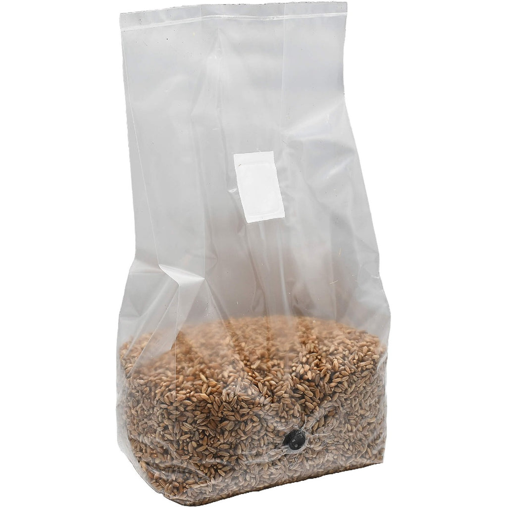 sterilized rye berry grow bag 5lbs standing right