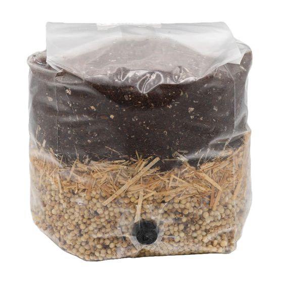 White Milo All In One Mushroom Grow Bag Front View