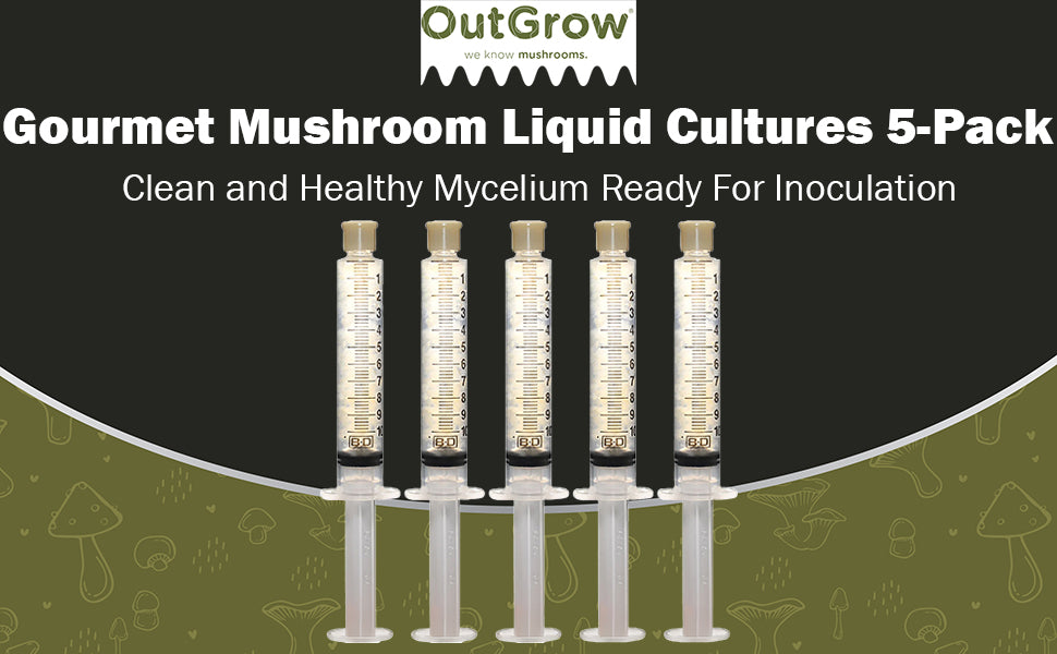 Gourmet Mushroom Cultures 5 Pack