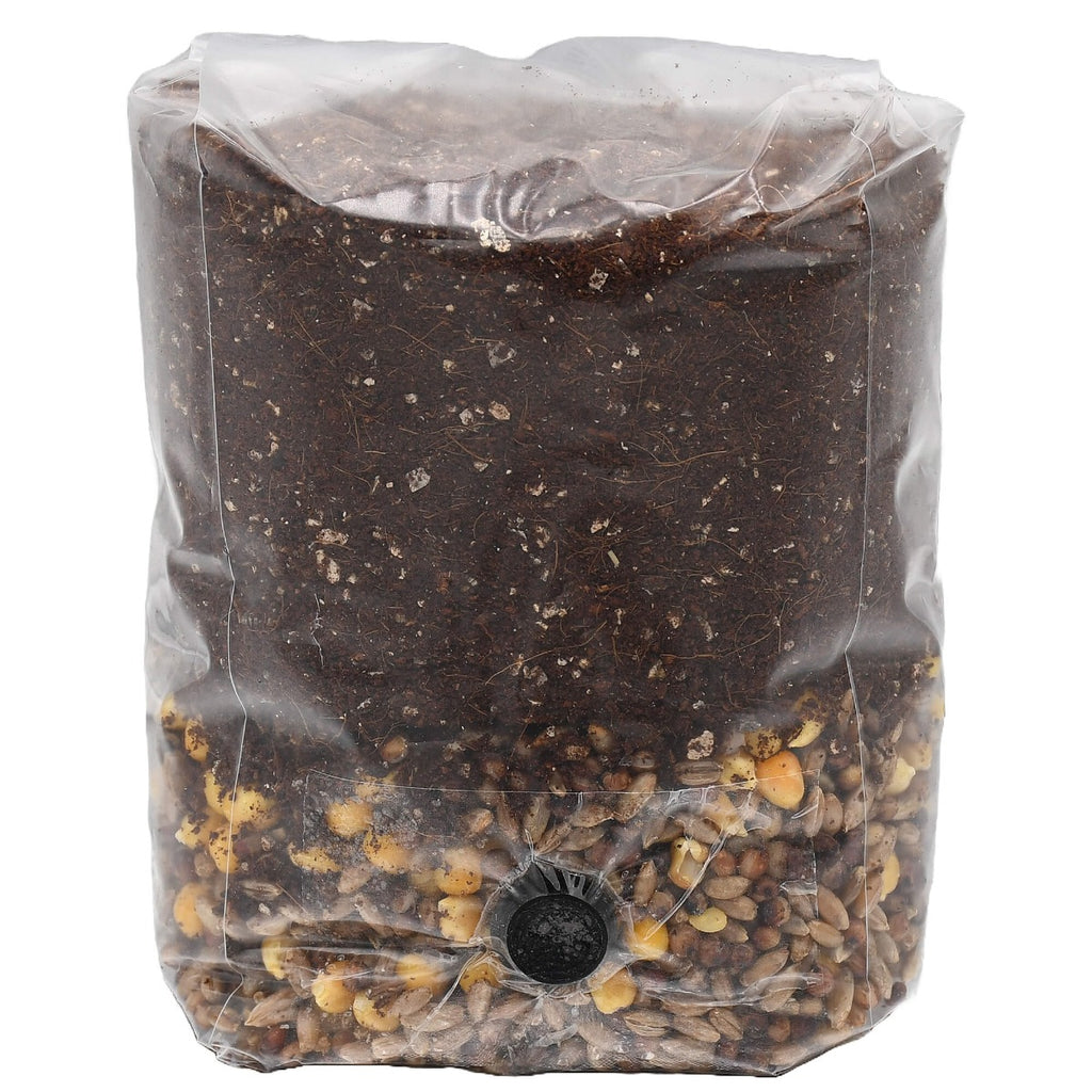 Mini Mega Mix All-In-One Mushroom Grow Bag