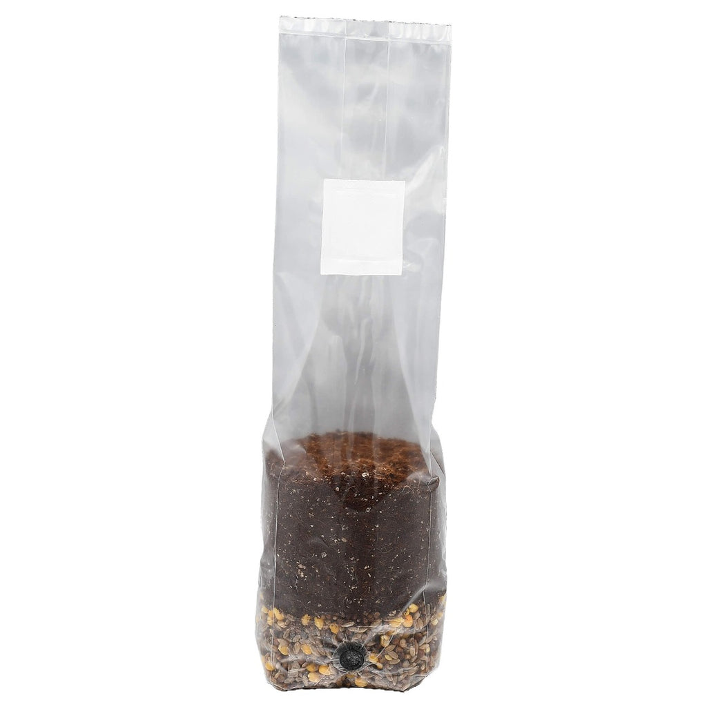 Mini Mega Mix All-In-One Mushroom Grow Bag standing