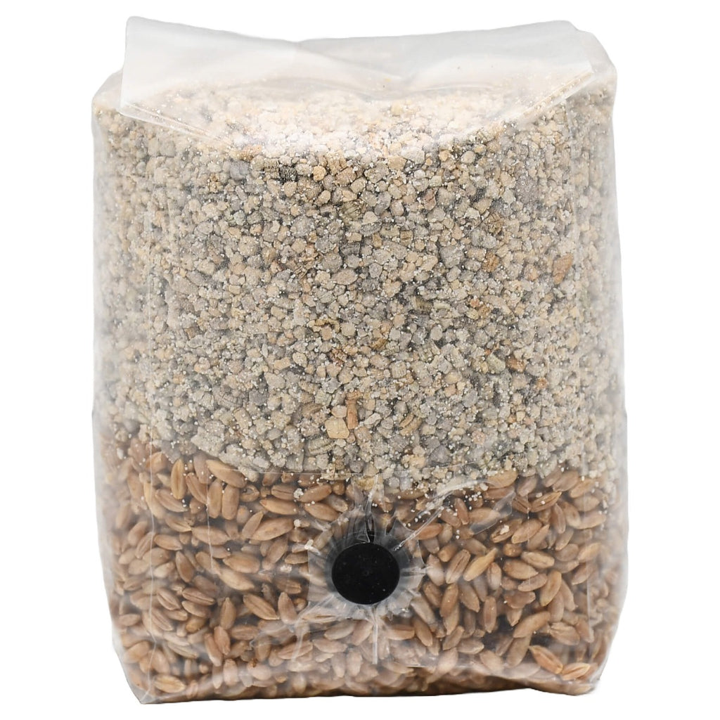 Mini BRF All-In-One Mushroom Grow Bag