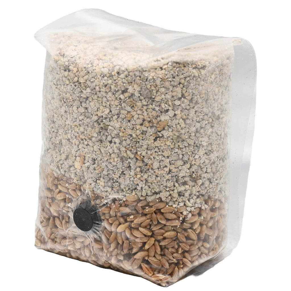 Mini BRF All-In-One Mushroom Grow Bag