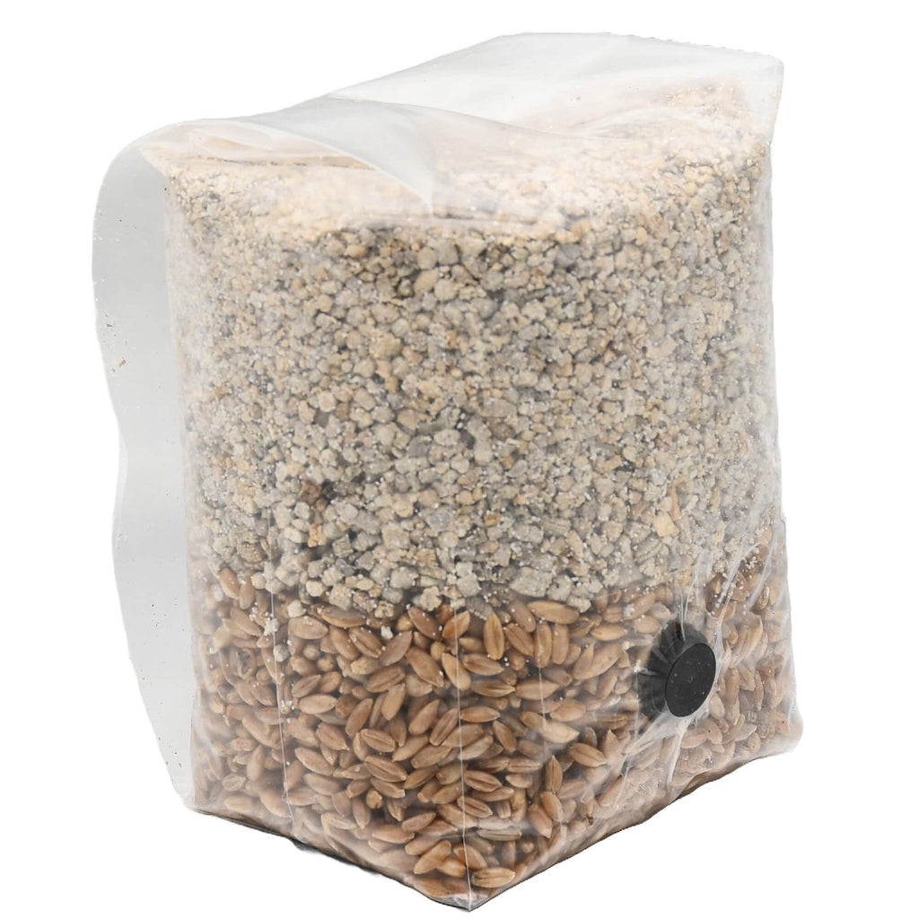 Mini BRF All-In-One Mushroom Grow Bag facing right