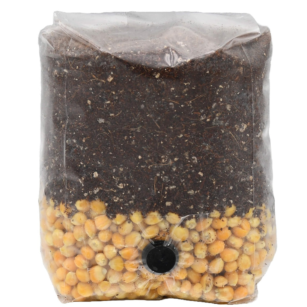 Mini Golden Grain All-In-One Mushroom Grow Bag