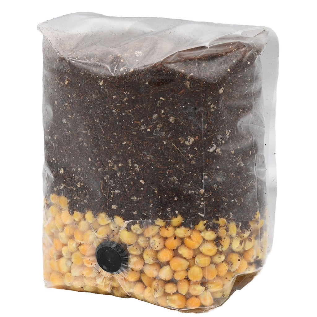 Mini Golden Grain All-In-One Mushroom Grow Bag