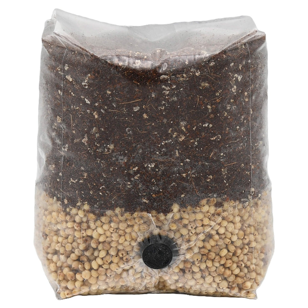 Mini Wite Milo All-In-One Mushroom Grow Bag