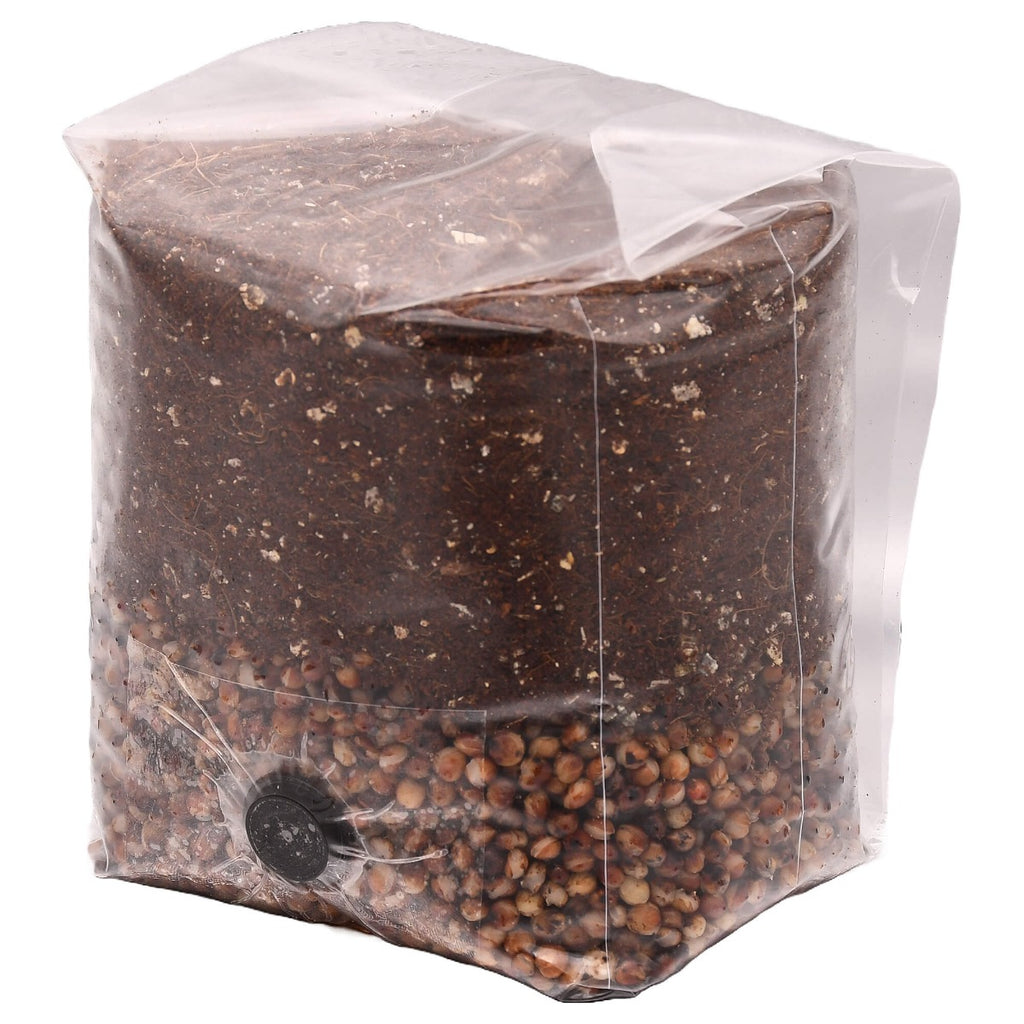 Mini Red Milo All-In-One Mushroom Grow Bag