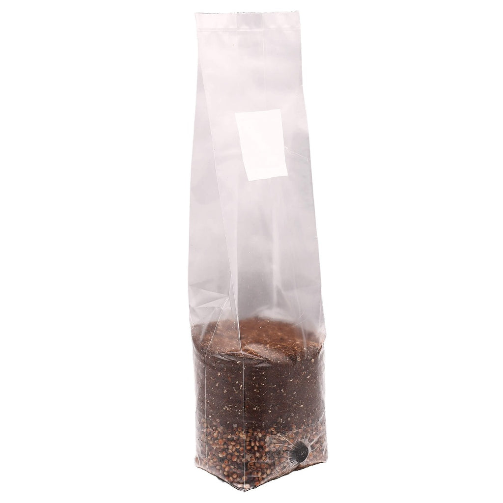 Mini Red Milo All-In-One Mushroom Grow Bag standing facing right