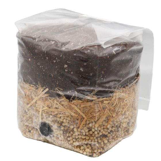 White Milo All In One Mushroom Grow Bag Front View