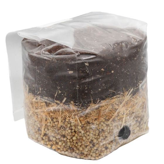 White Milo All In One Mushroom Grow Bag Left Side View