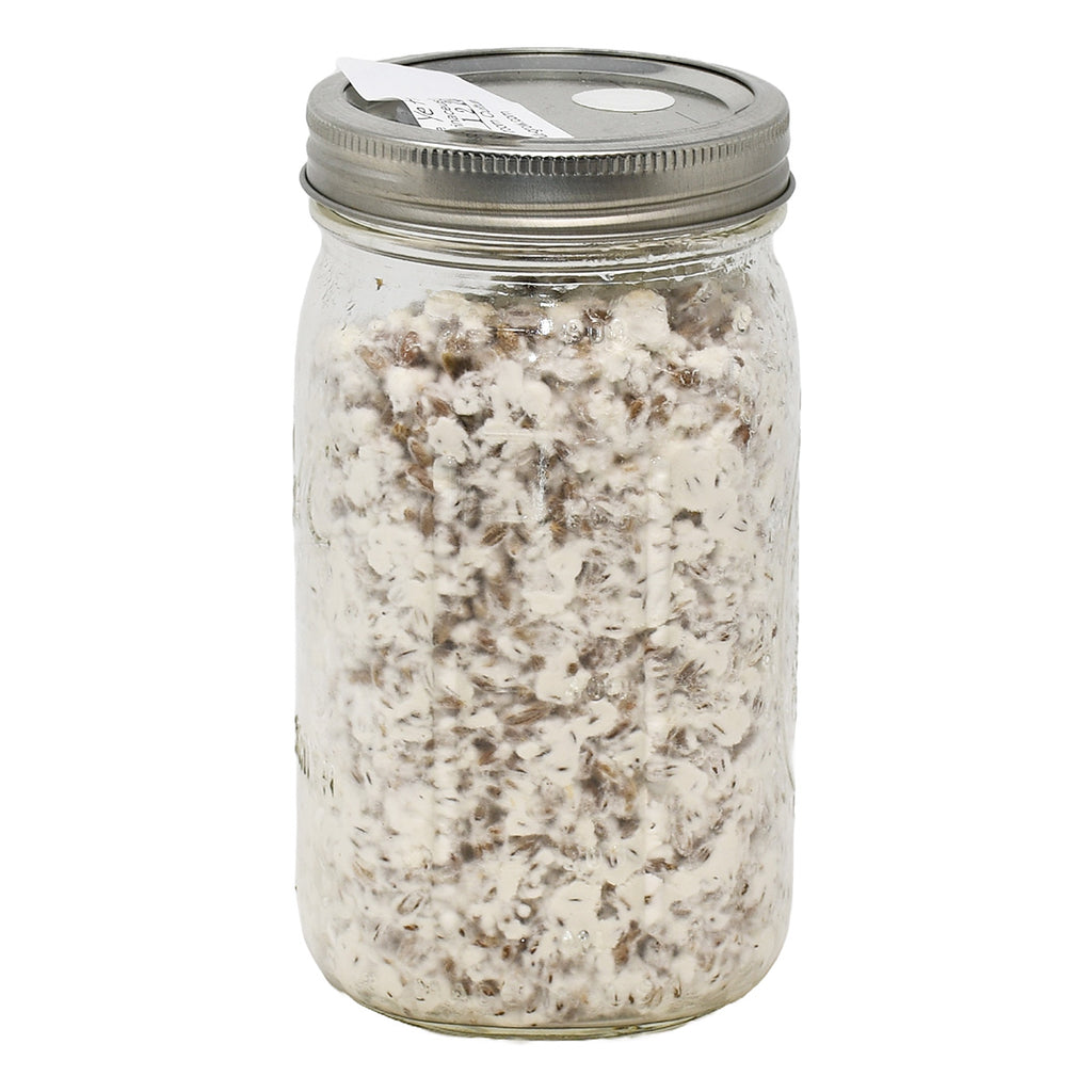 Lions Mane Mushroom Spawn 1 quart jar